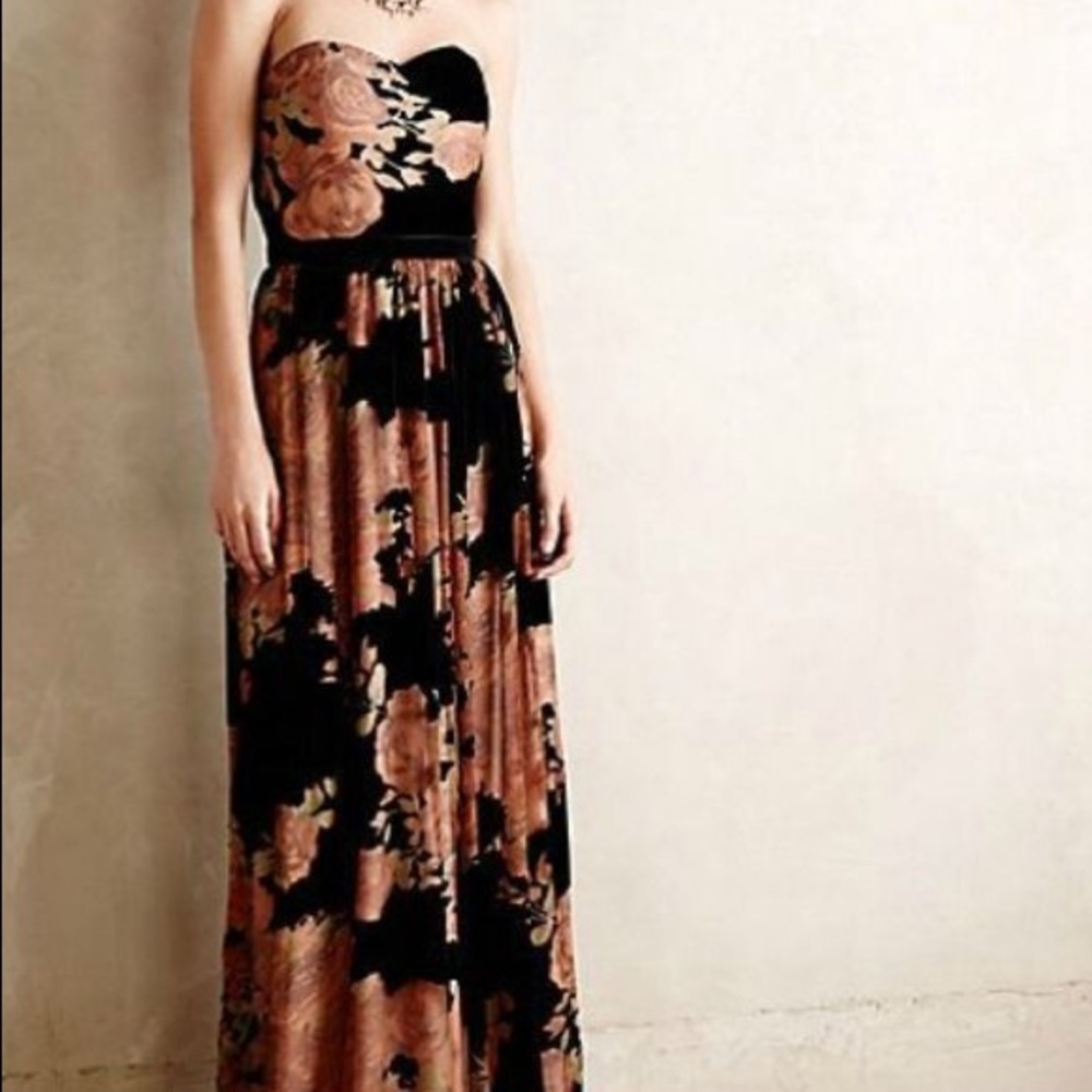 Anthropologie Velvet Floral Dress by Erin